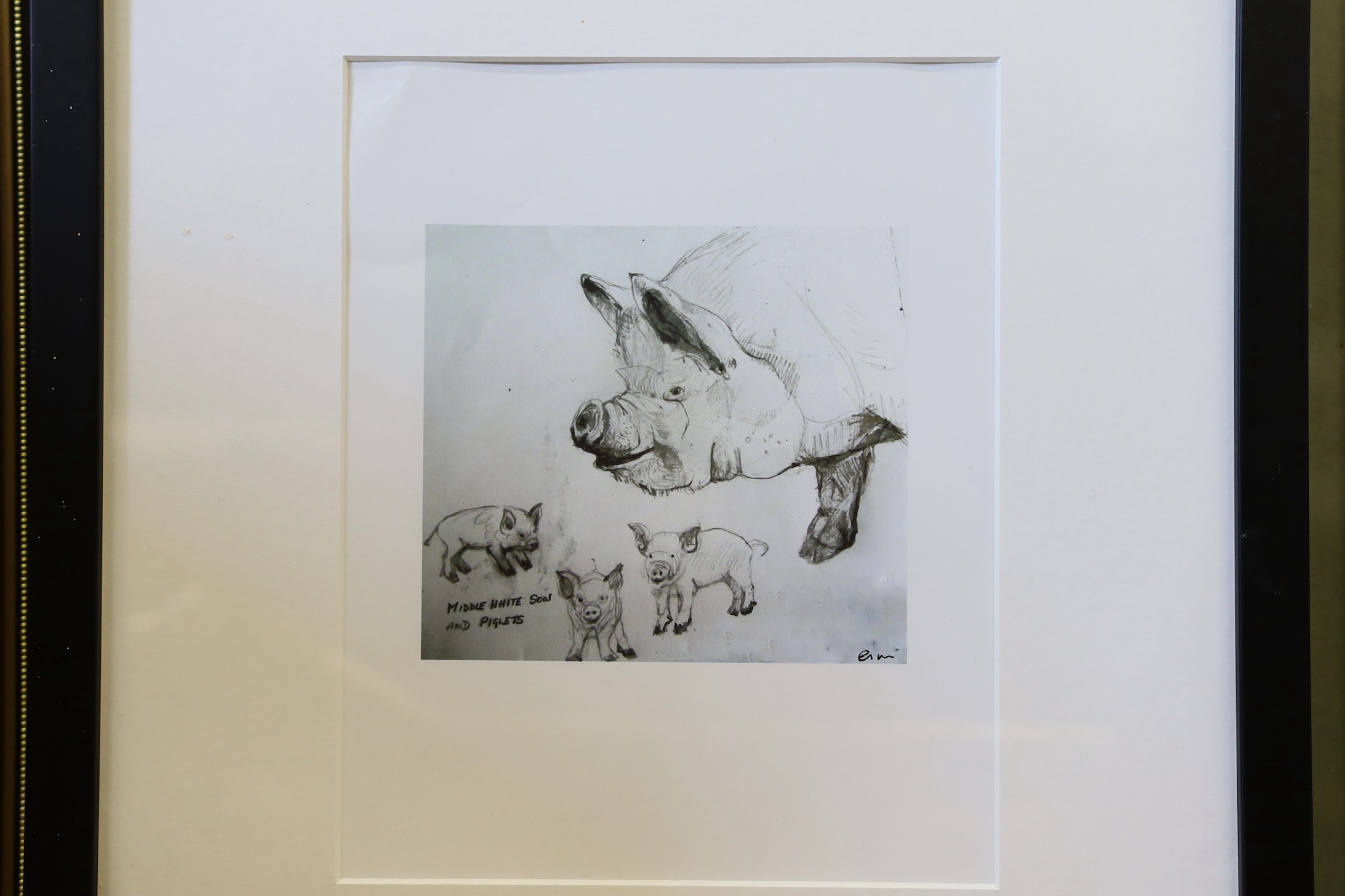 Rebecca Morse (Modern British) pen and ink with card cut out, three book illustrations and nine other framed works, largest 56 x 56cm (12)